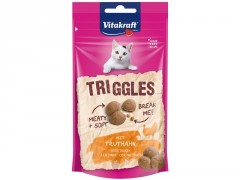 FRIANDISE CHAT DINDE 40G